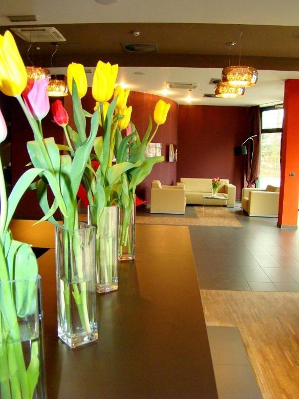 Hotel Niepolomice Ngoại thất bức ảnh